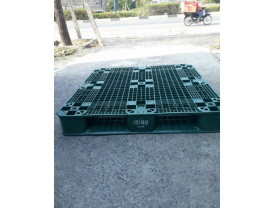 Pallet nhựa