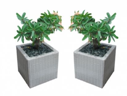Đồ ngoại thất nhựa giả mây