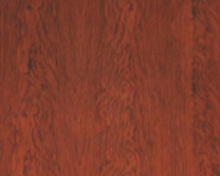 Ván phủ