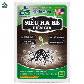 Siêu ra rễ Điền Gia