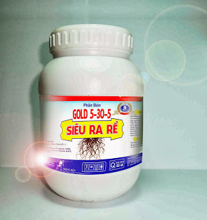 Siêu ra rễ