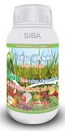 Siêu canxi