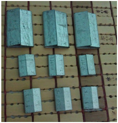 Bọ sắt