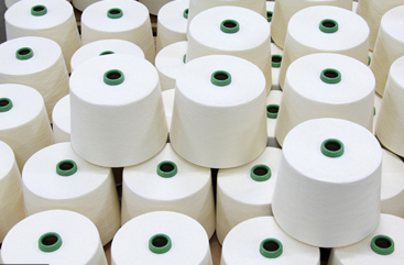 Sợi Polyester