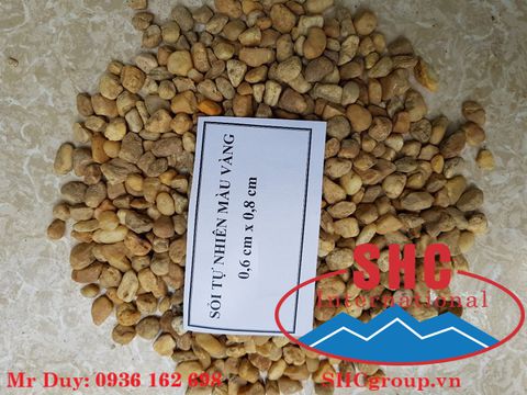 Sỏi vàng