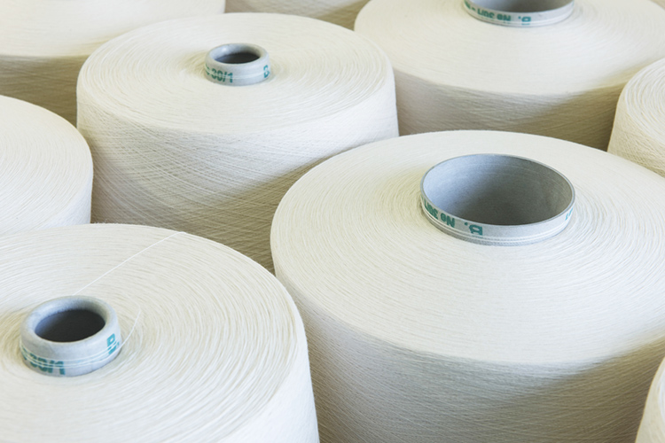 Sợi Cotton chải kỹ CM
