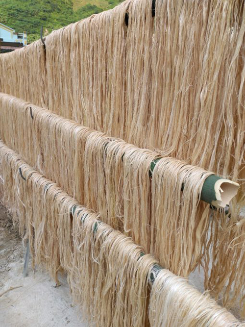 Sợi chuối thô
