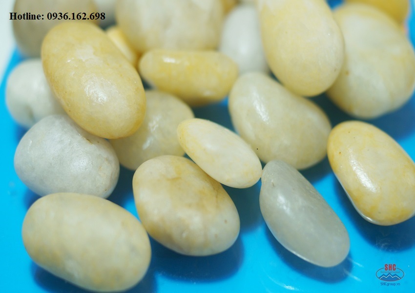 Sỏi vàng nhạt