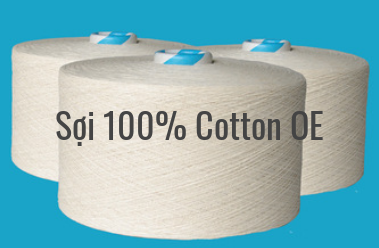 Sợi cotton