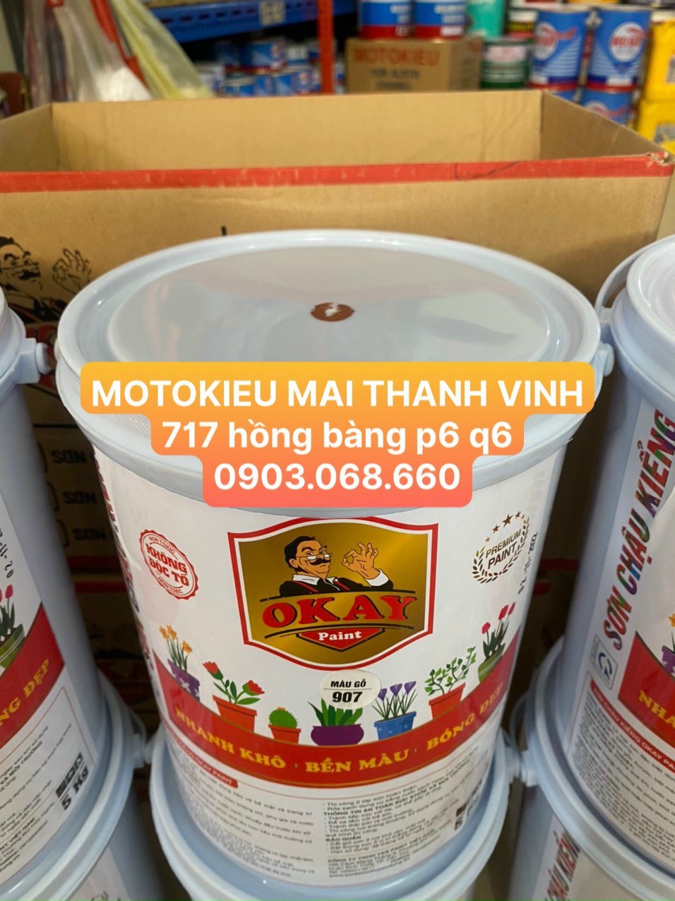 Sơn chậu kiểng