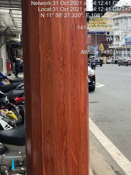 Sơn tĩnh điện giả gỗ