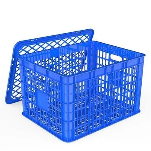 Sọt đứng trái cây