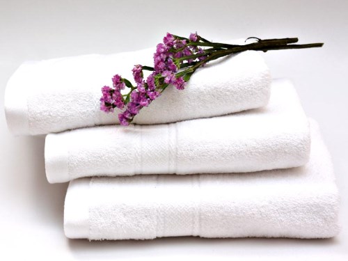 Khăn Spa