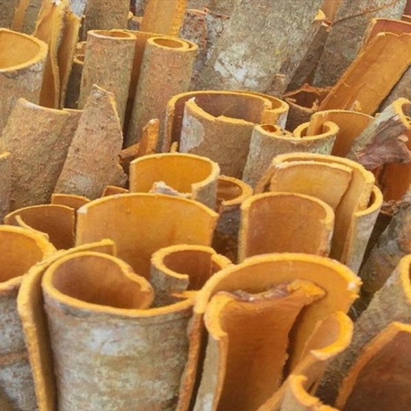 Quế chẻ thanh