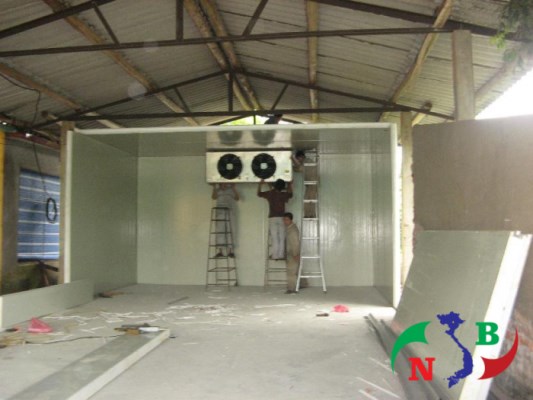 Dịch vụ sửa chữa kho lạnh