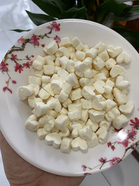 Sữa chua sấy Thăng Hoa