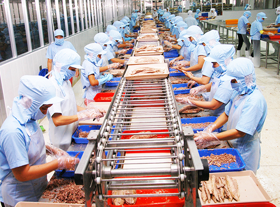 Sản xuất thực phẩm đóng hộp
