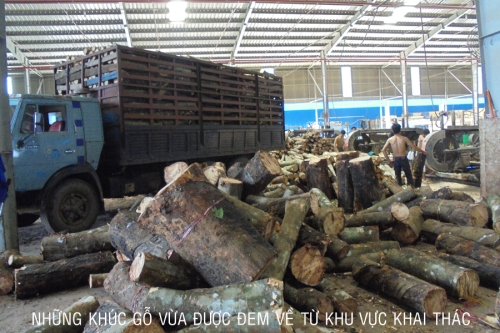 Khu vực sản xuất