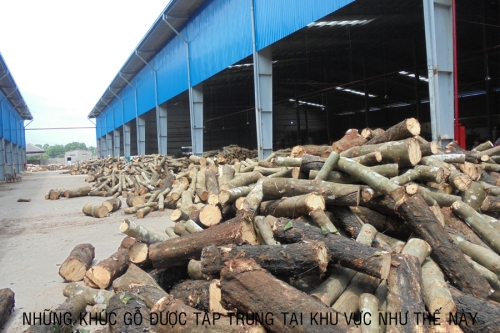 Khu vực sản xuất