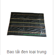 Bao tải dứa