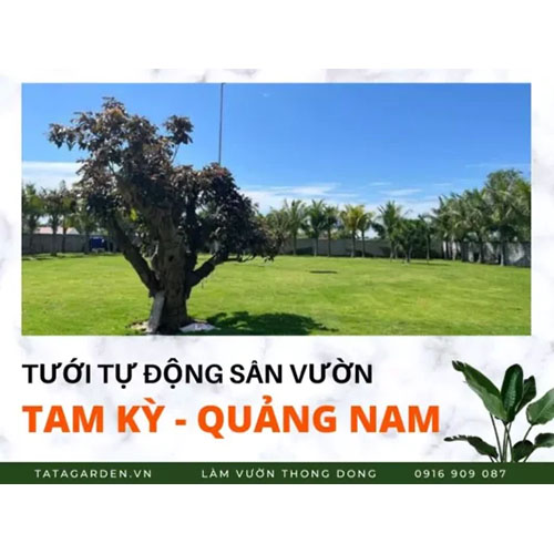 Thi công hệ thống tưới cây Tam kì, Quảng Nam