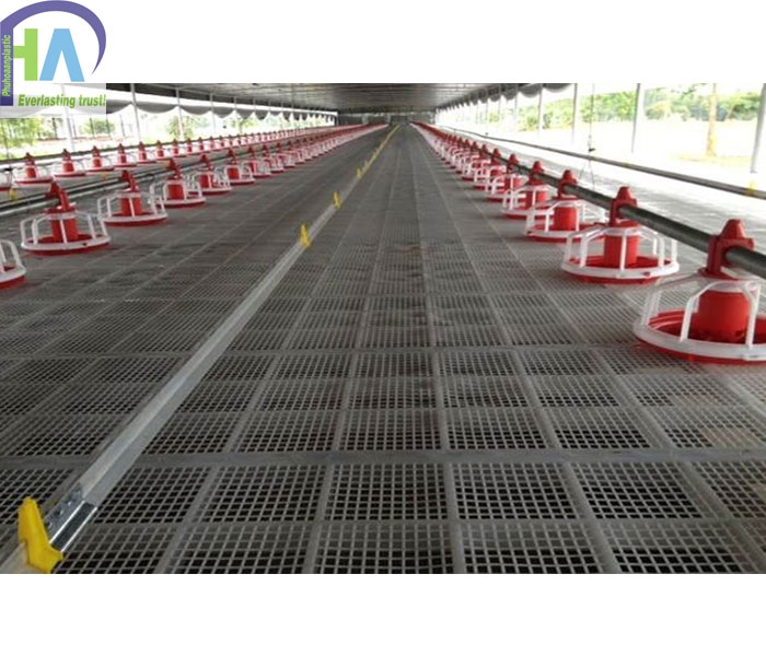Tấm nhựa lót sàn chăn nuôi 50x100cm