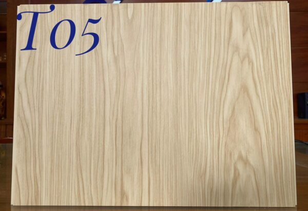 Tấm ốp nhựa Nano TLB-05