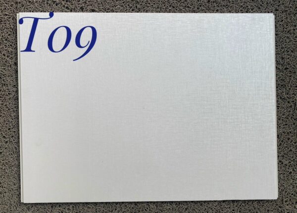 Tấm ốp nhựa Nano TLB-09