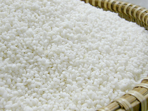 Gạo lương thực