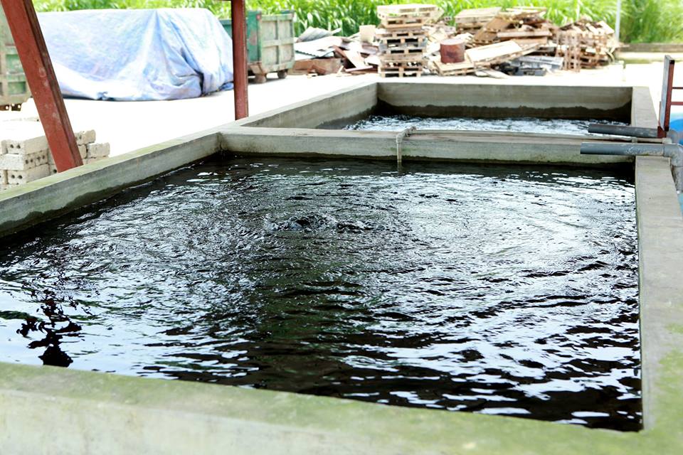 Tẩy rửa nồi hơi, hệ thống lạnh, mang RO, đường ống