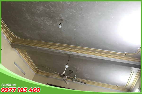 Tẩy mốc tường trần