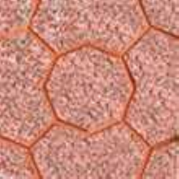Gạch Terrazzo