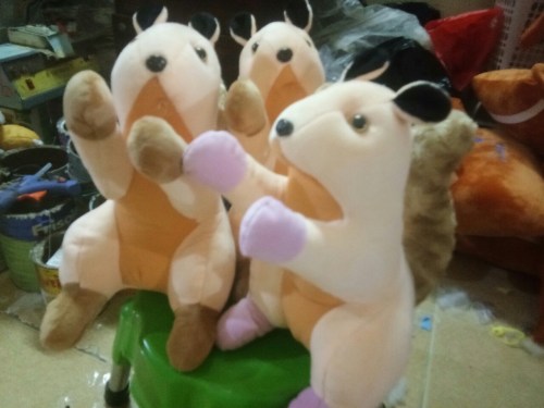 Thú nhồi bông