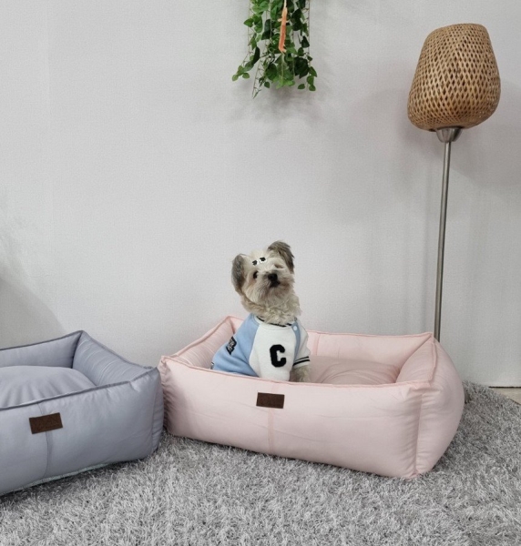 产品与服务