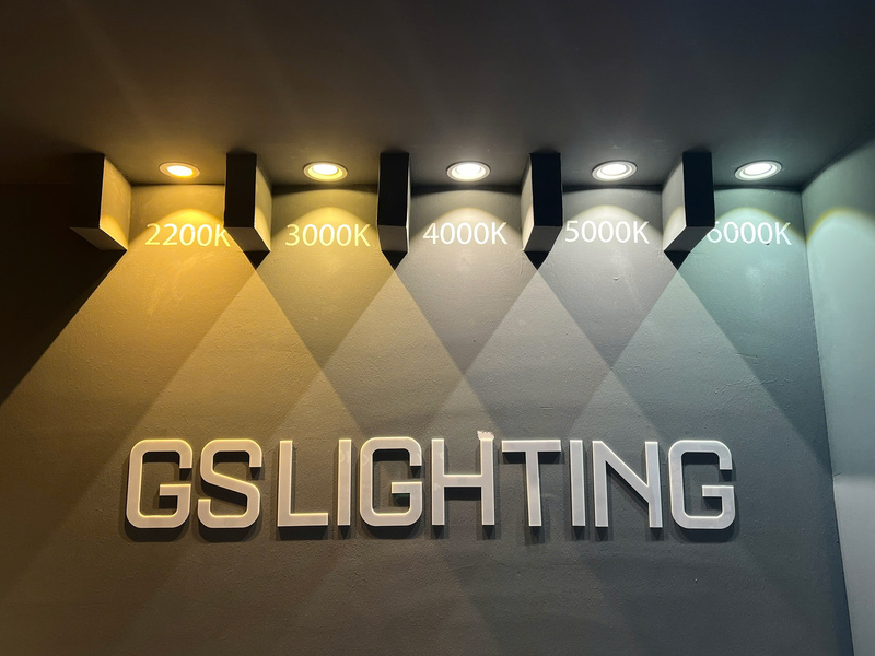 Hình ảnh tham gia triển lãm GS Lighting