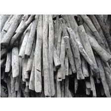 Than trắng củi bạch đàn