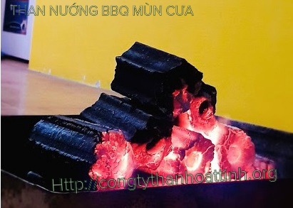 Than mùn cưa không khói BBQ