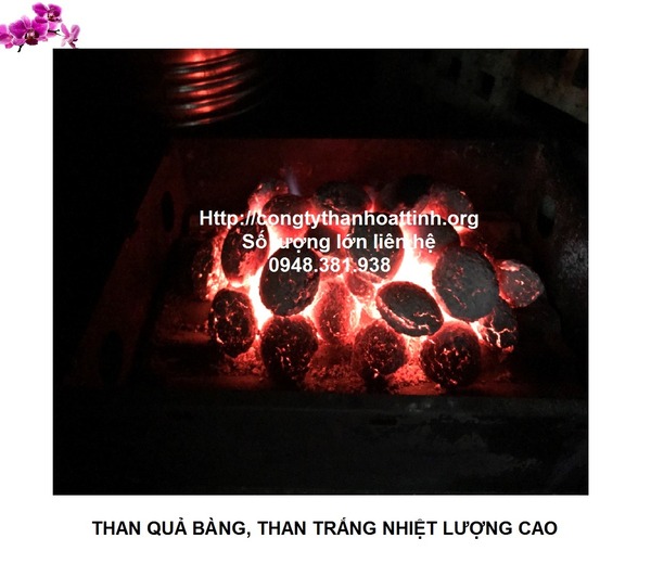Than nướng BBQ quả bàng