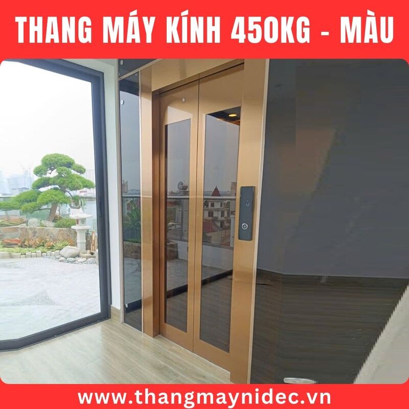 Thang máy kính 450kg màu