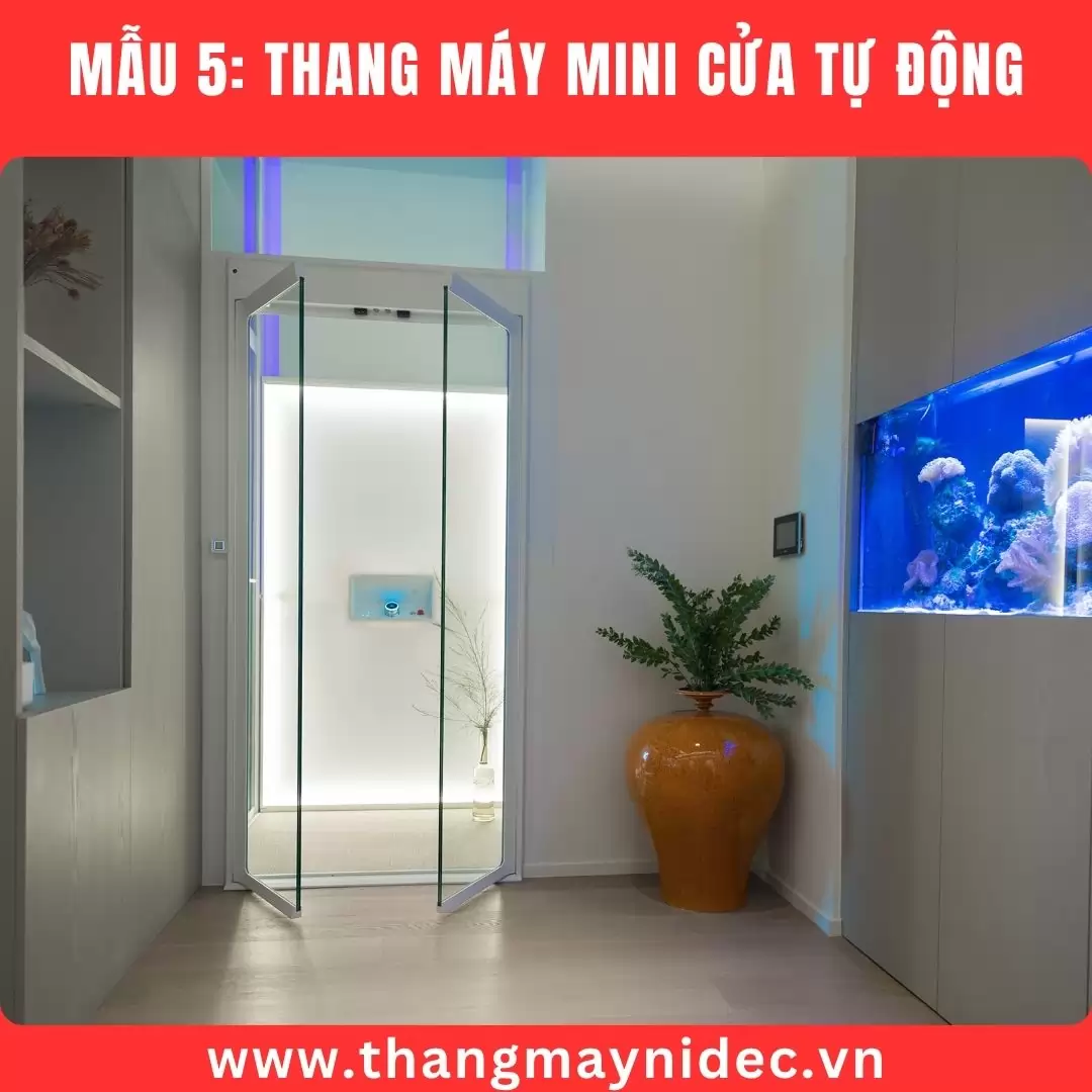 Thang máy mini cửa tự động