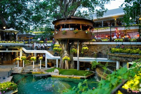 Thi công cảnh quan quán cafe