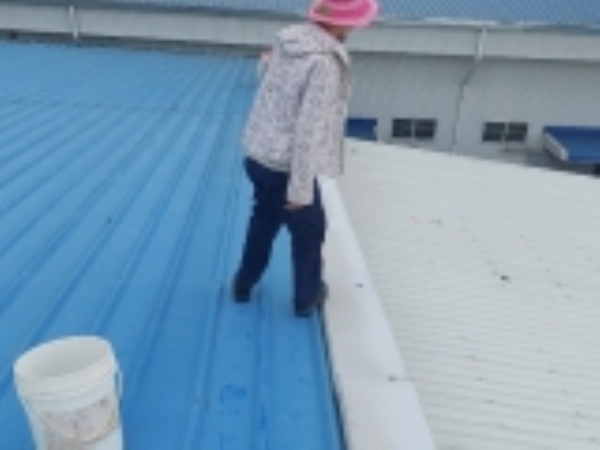 Thi công chống dột nhà