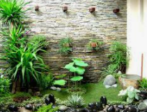 Dịch vụ thiết kế thi công tiểu cảnh