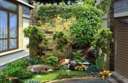 Dịch vụ thiết kế thi công tiểu cảnh