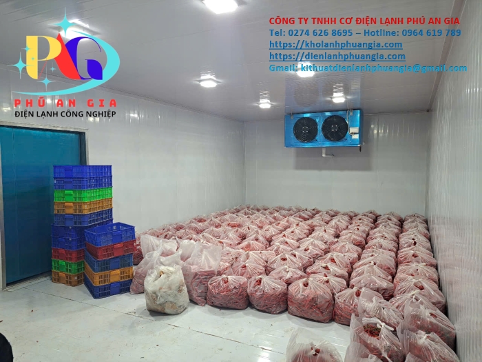 Thi công kho lạnh bảo quản nông sản