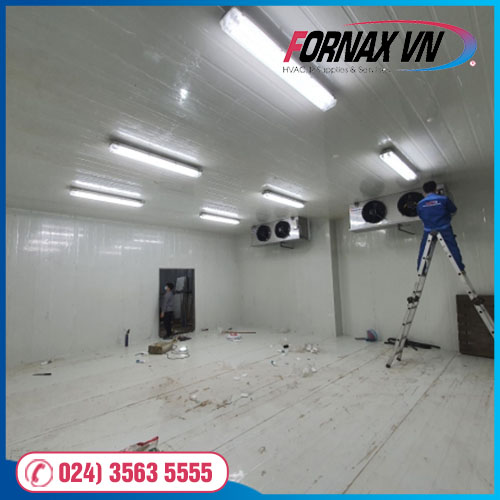 Thi công hệ thống kho lạnh bảo quản rau xanh