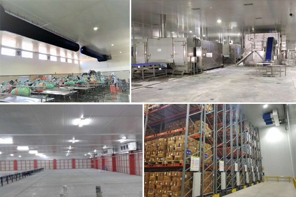 Thi công lắp đặt kho lạnh tại Hà Nội