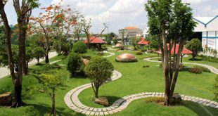 Thi công tường cây xanh