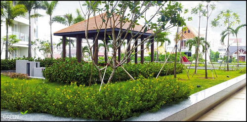Thiết kế cảnh quan