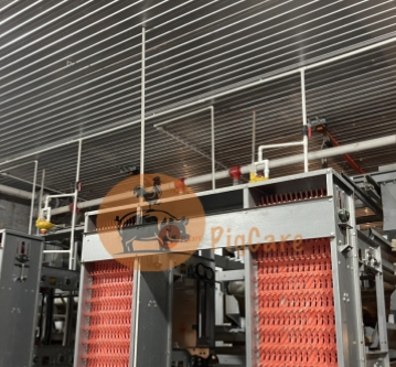 Thiết bị gà trứng chữ H